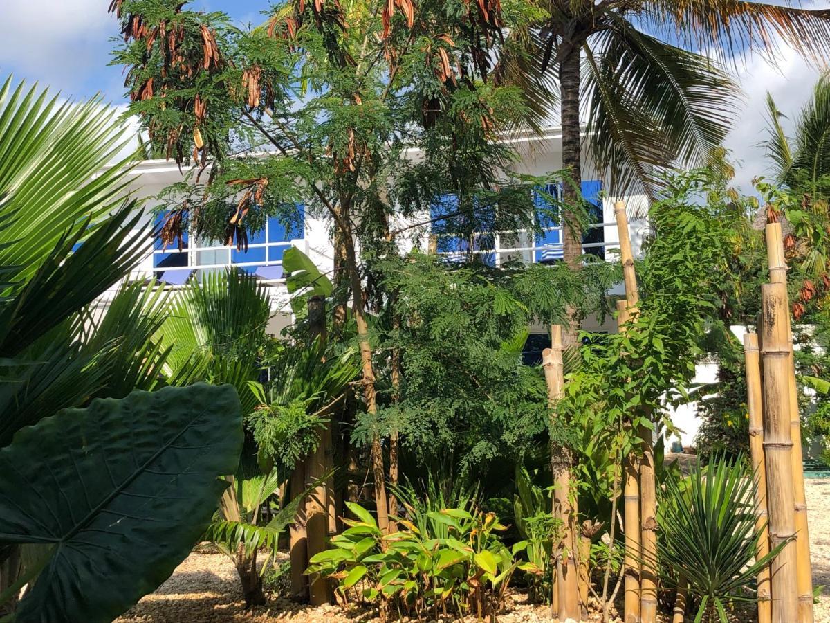 Aurora Boutique Hotel Jambiani Jambiani  Εξωτερικό φωτογραφία