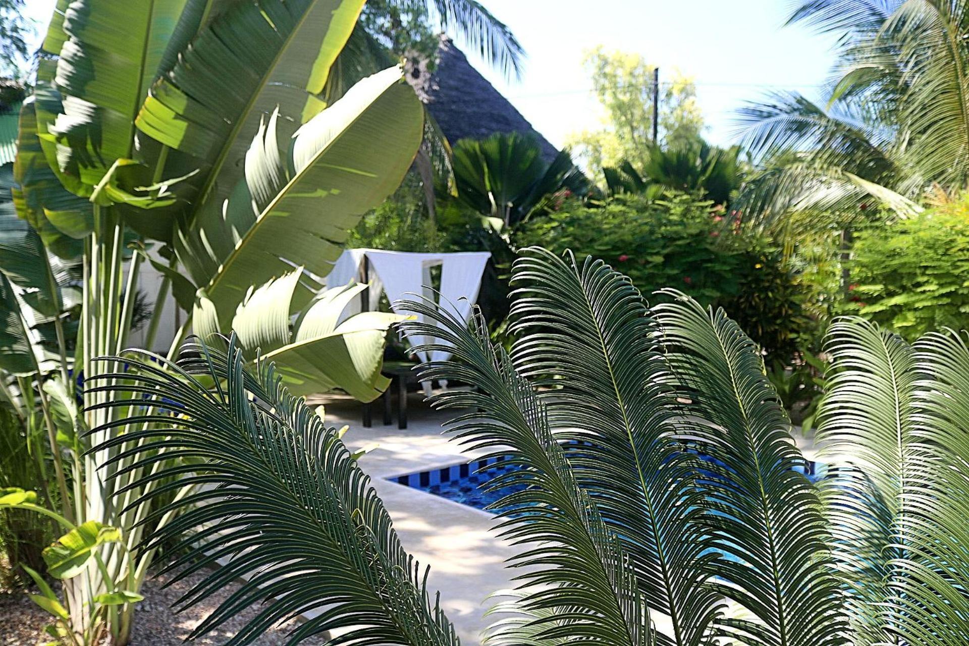 Aurora Boutique Hotel Jambiani Jambiani  Εξωτερικό φωτογραφία
